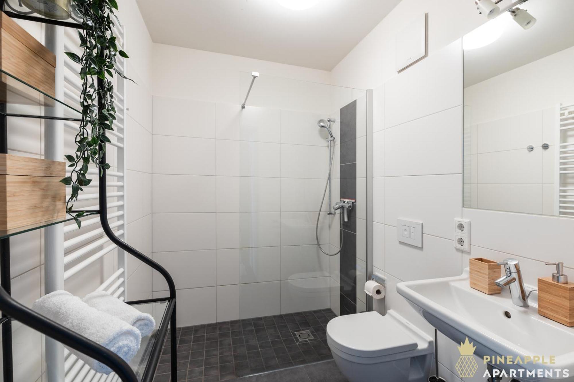 Pineapple Apartments Studio-Apartment Am Zwinger Δρέσδη Εξωτερικό φωτογραφία